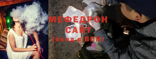 индика Богородск