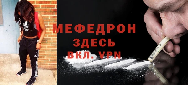 индика Богородск