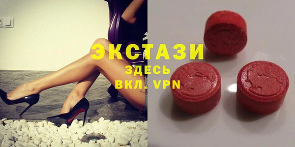 индика Богородск