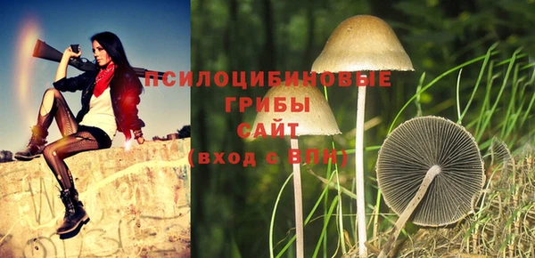 гашишное масло Богданович