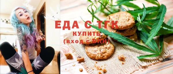 индика Богородск