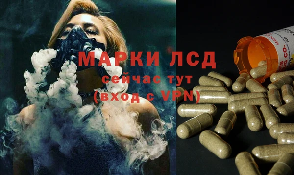 индика Богородск