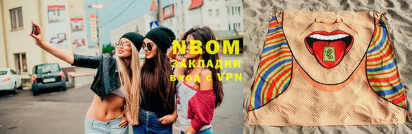 индика Богородск