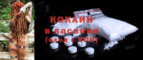 индика Богородск