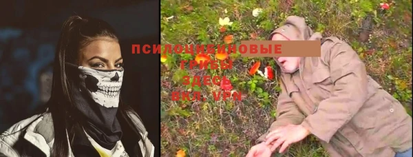 гашишное масло Богданович